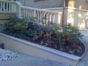 Aiuola con arbusti di mahonia (mahonia aquifolium) - villa privata - Rivoli